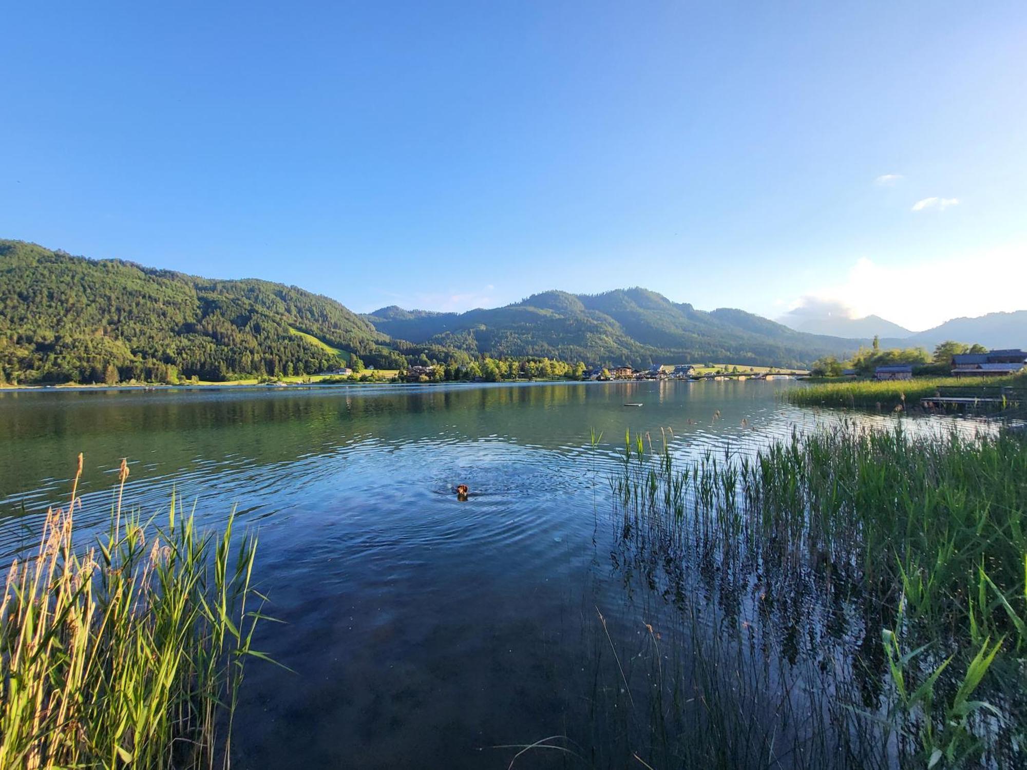 Haus Lackner Am Weissensee In Kaernten Экстерьер фото